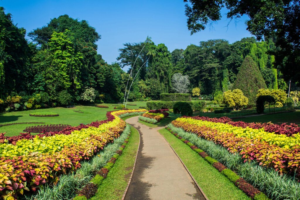 Kandy Royal Botanical Garden