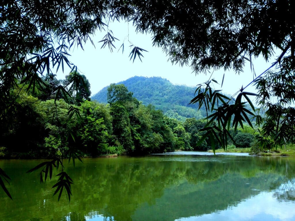 Kithulgala Kaleni River