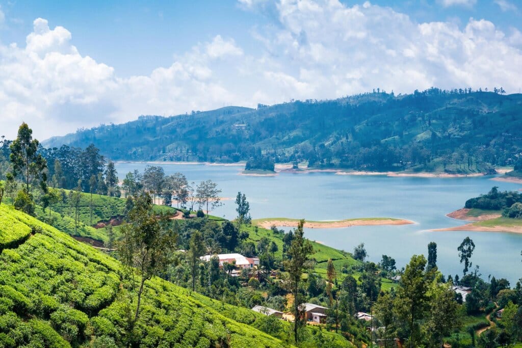 Nuwara Eliya