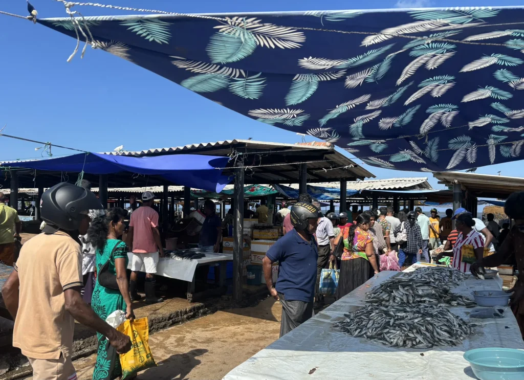 Negombo vismarkt